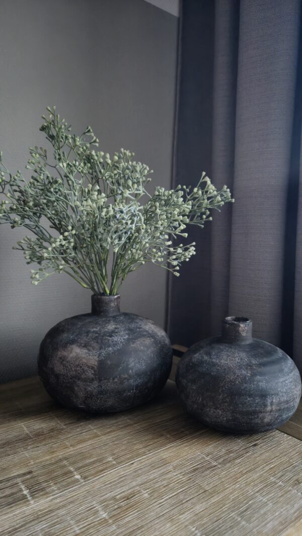 20241130_160841 Vaas Plat Dorien S.