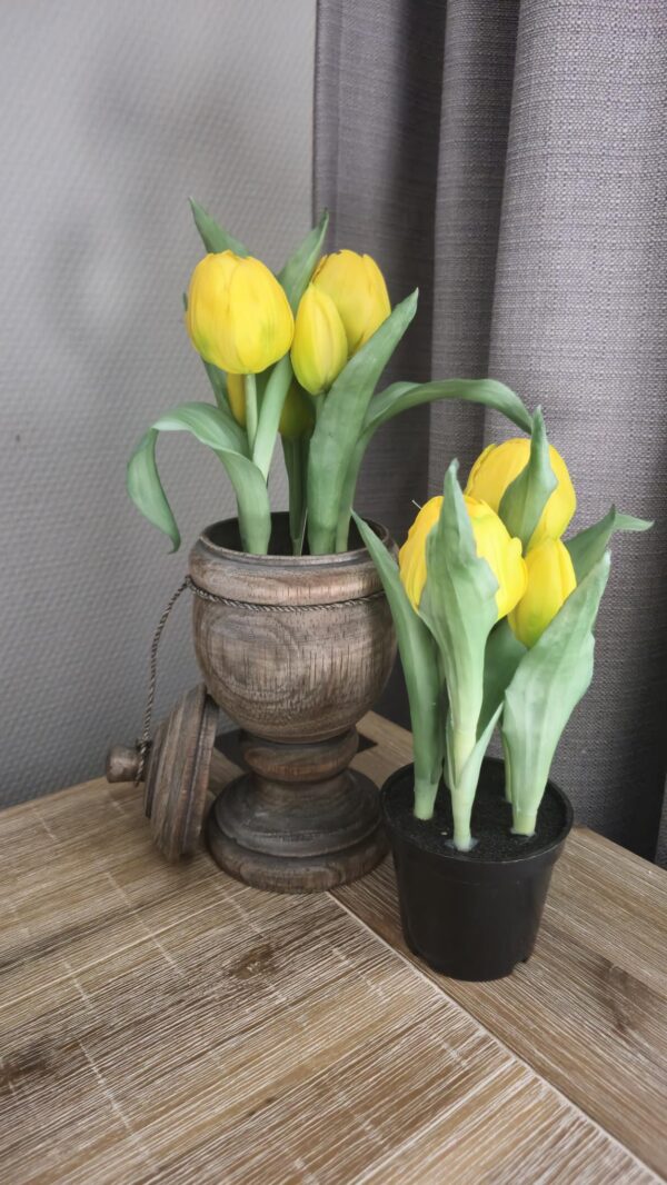 Tulp in Pot Geel