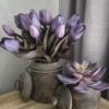 Op de afbeelding is de linker grote houten pot met deksel te zien, 13 cm breed en 20,5 cm hoog