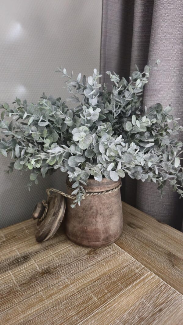 Mooie kunsttak Eucalyptus Cinerea, ca. 32 cm lang