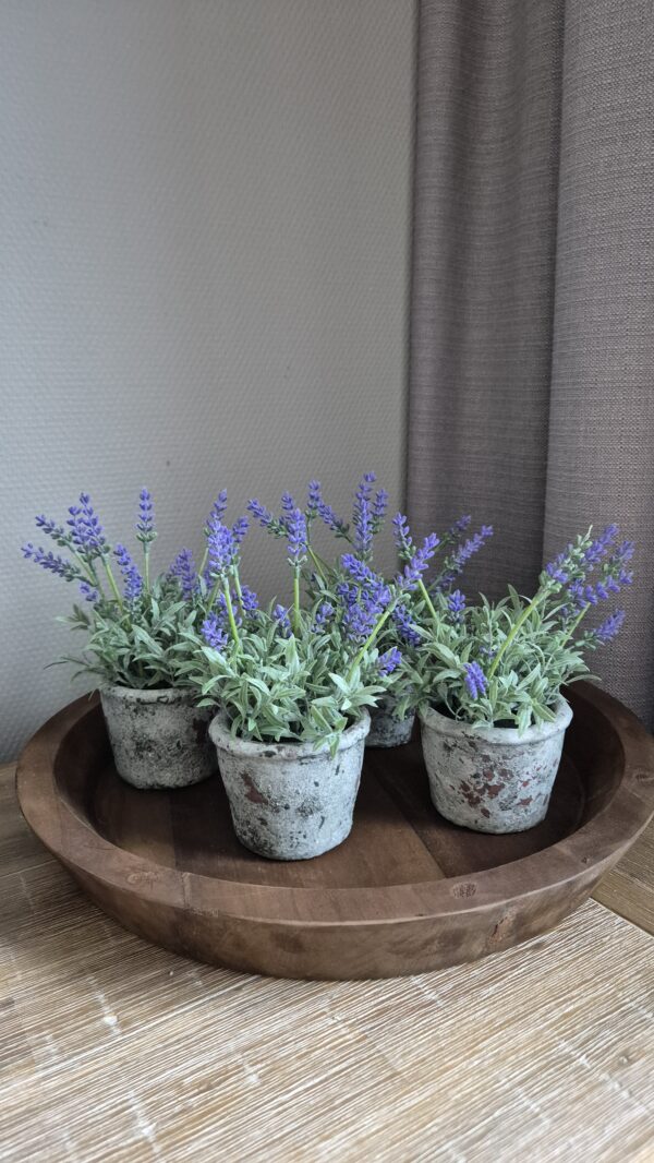 20250409_181232 Stenen pot met kunstdruifjes – sfeervolle decoratie
