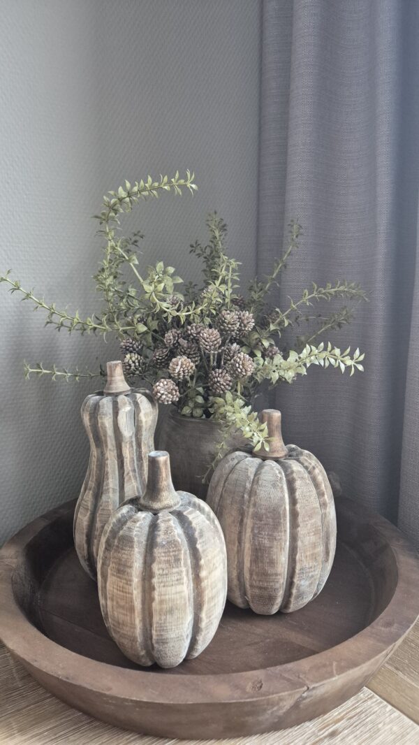 Set van 3 Houten Pompoenen – Lichte Variant