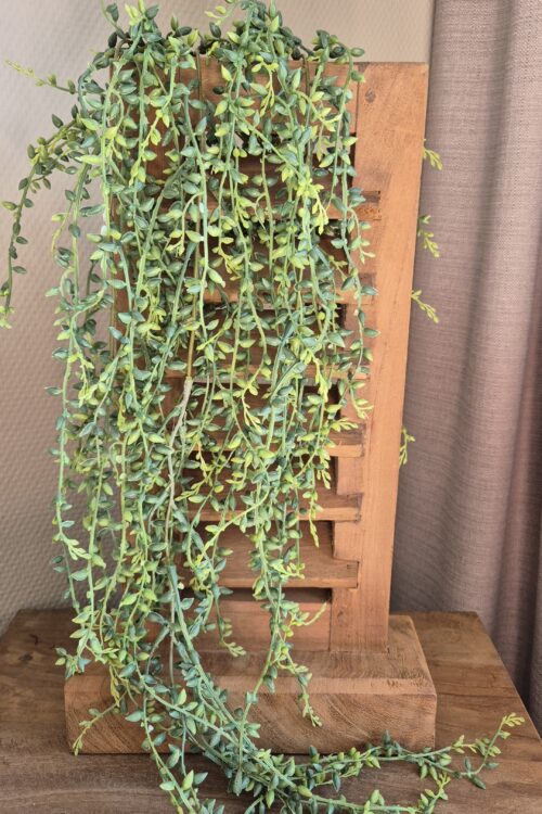 Groene erwtenrank decoratie