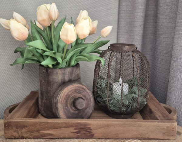 Tulpen per bosje - kleur zalm