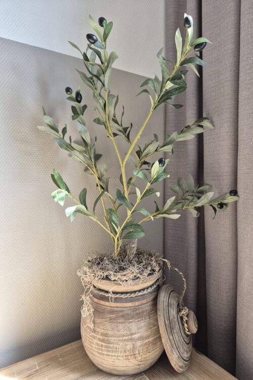 Mediterrane Sfeer in een Stijlvolle Houten Pot