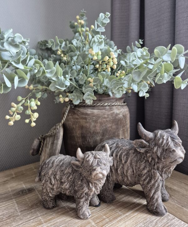 Grote Schotse Hooglander
