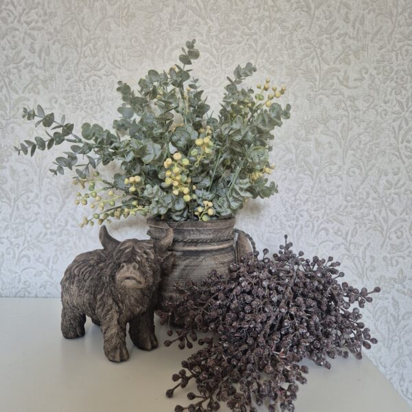 Grote Schotse Hooglander