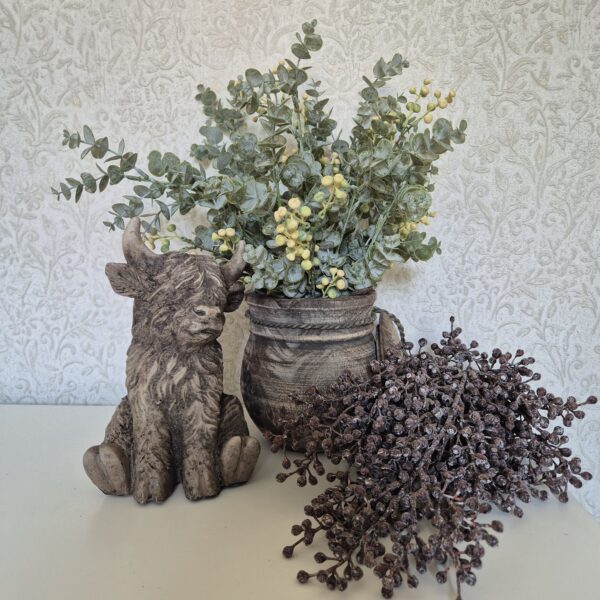 Zittende Hooglander – Groot