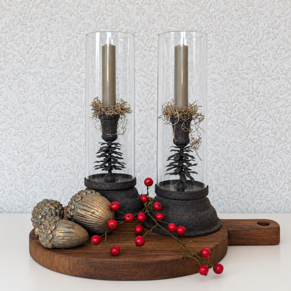 Mooie kandelaren met kaars & Tillandsia